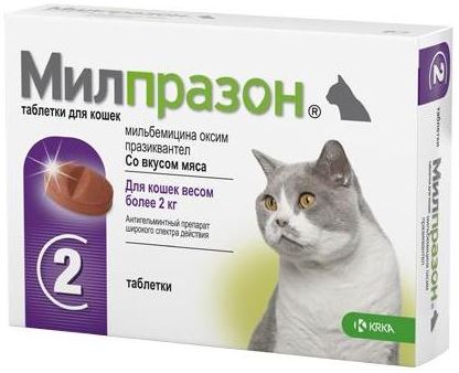 фото Милпразон таблетки для кошек весом более 2 кг от гельминтов, 1 шт. - зоомагазин 4 лапы