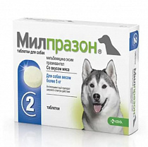 фото Милпразон антигельминтик для собак более 5 кг, таблетки 12,5 мг/125 мг 1 шт - зоомагазин 4 лапы