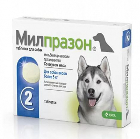 фото Милпразон антигельминтик для собак более 5 кг, таблетки 12,5 мг/125 мг 1 шт - зоомагазин 4 лапы