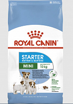 фото Сухой корм Royal Canin mini starter 11кг - зоомагазин 4 лапы