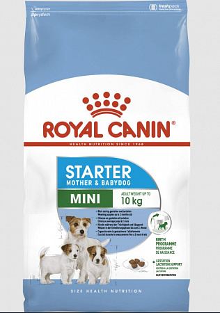 фото Сухой корм Royal Canin mini starter 1кг - зоомагазин 4 лапы
