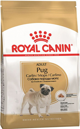 фото Сухой корм Royal Canin для Мопса 1,5 кг - зоомагазин 4 лапы